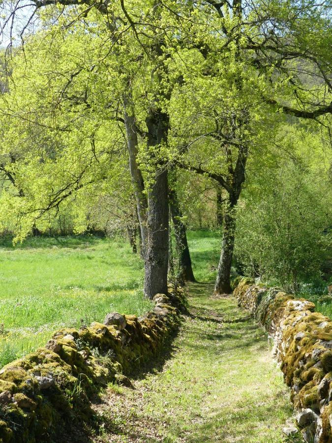 לינה וארוחת בוקר Frontenac  Le Hameau Du Quercy מראה חיצוני תמונה